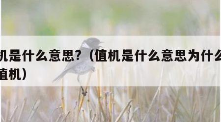 值机是什么意思?（值机是什么意思为什么要叫值机）