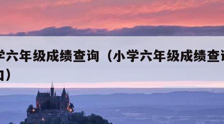 小学六年级成绩查询（小学六年级成绩查询网入口）