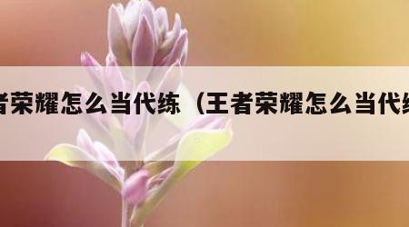 王者荣耀怎么当代练（王者荣耀怎么当代练玩家）