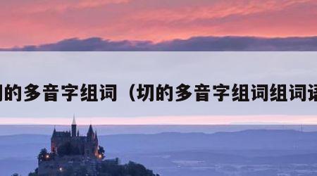 切的多音字组词（切的多音字组词组词语）