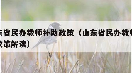 山东省民办教师补助政策（山东省民办教师补助政策解读）