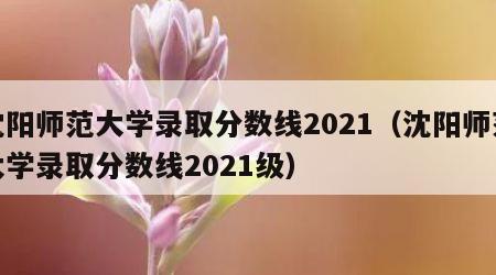 沈阳师范大学录取分数线2021（沈阳师范大学录取分数线2021级）