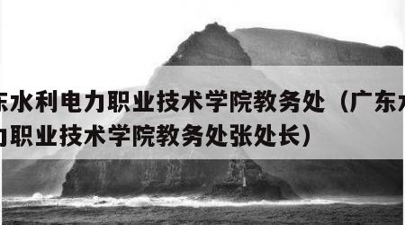 广东水利电力职业技术学院教务处（广东水利电力职业技术学院教务处张处长）