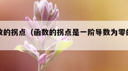 函数的拐点（函数的拐点是一阶导数为零的点吗）