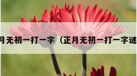 正月无初一打一字（正月无初一打一字谜底）