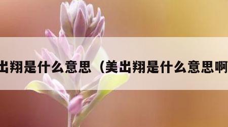 出翔是什么意思（美出翔是什么意思啊）