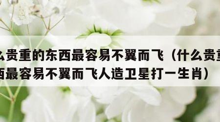 什么贵重的东西最容易不翼而飞（什么贵重的东西最容易不翼而飞人造卫星打一生肖）