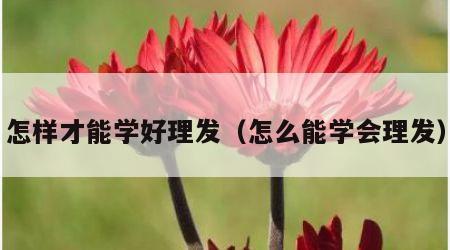 怎样才能学好理发（怎么能学会理发）