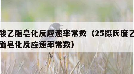 乙酸乙酯皂化反应速率常数（25摄氏度乙酸乙酯皂化反应速率常数）