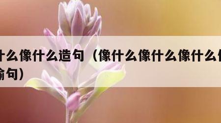 像什么像什么造句（像什么像什么像什么仿写比喻句）