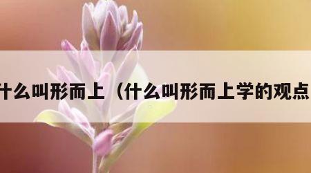 什么叫形而上（什么叫形而上学的观点）