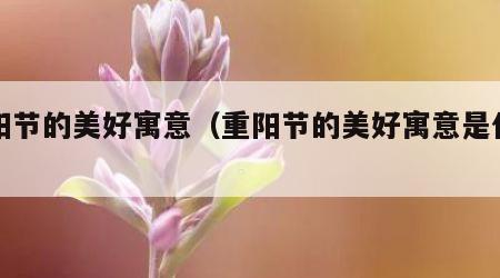 重阳节的美好寓意（重阳节的美好寓意是什么）