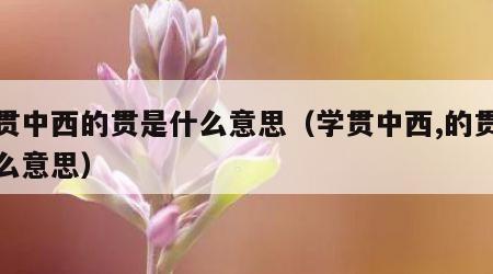 学贯中西的贯是什么意思（学贯中西,的贯是什么意思）