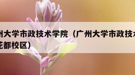 广州大学市政技术学院（广州大学市政技术学院花都校区）