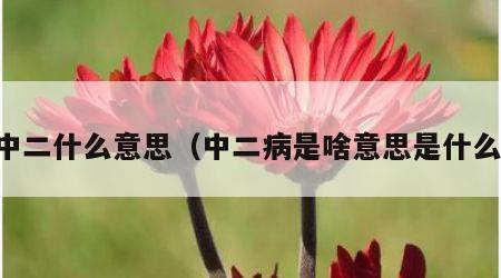 中二什么意思（中二病是啥意思是什么）