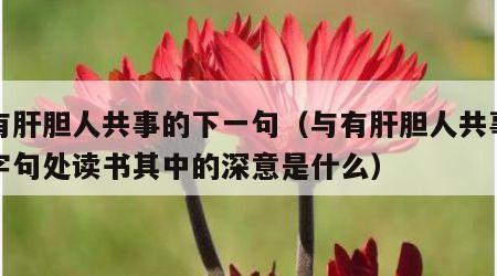 与有肝胆人共事的下一句（与有肝胆人共事从无字句处读书其中的深意是什么）