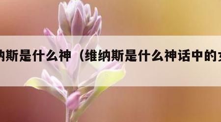 维纳斯是什么神（维纳斯是什么神话中的女神）