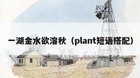 一湖金水欲溶秋（plant短语搭配）