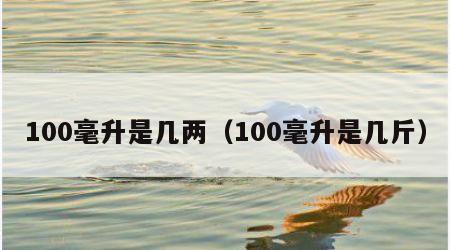 100毫升是几两（100毫升是几斤）