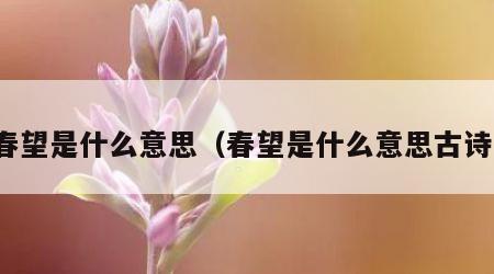 春望是什么意思（春望是什么意思古诗）