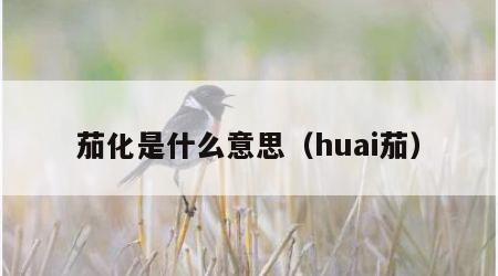 茄化是什么意思（huai茄）