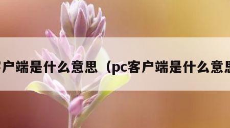 客户端是什么意思（pc客户端是什么意思）