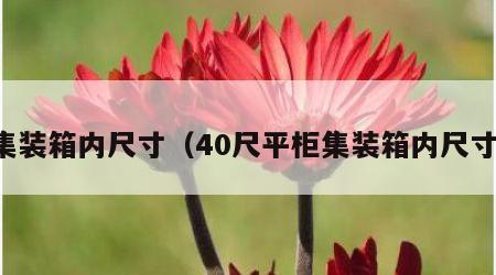 集装箱内尺寸（40尺平柜集装箱内尺寸）