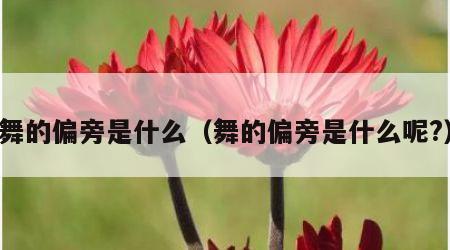 舞的偏旁是什么（舞的偏旁是什么呢?）