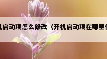 开机启动项怎么修改（开机启动项在哪里修改）