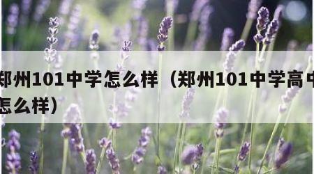 郑州101中学怎么样（郑州101中学高中怎么样）