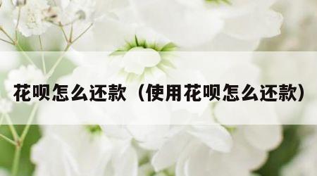 花呗怎么还款（使用花呗怎么还款）