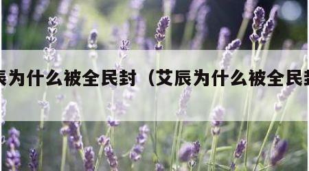 艾辰为什么被全民封（艾辰为什么被全民封禁了）