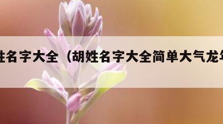 胡姓名字大全（胡姓名字大全简单大气龙年宝宝）