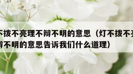 灯不拨不亮理不辩不明的意思（灯不拨不亮理不辩不明的意思告诉我们什么道理）