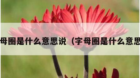 字母圈是什么意思说（字母圈是什么意思?）