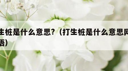 打生桩是什么意思?（打生桩是什么意思网络用语）