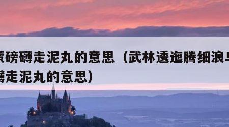 乌蒙磅礴走泥丸的意思（武林逶迤腾细浪乌蒙磅礴走泥丸的意思）