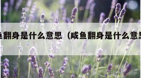 咸鱼翻身是什么意思（咸鱼翻身是什么意思视频）