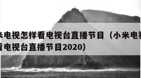 小米电视怎样看电视台直播节目（小米电视怎样看电视台直播节目2020）