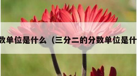 分数单位是什么（三分二的分数单位是什么）