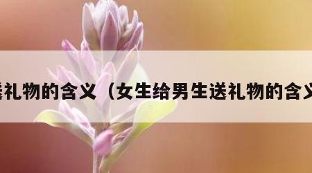 送礼物的含义（女生给男生送礼物的含义）