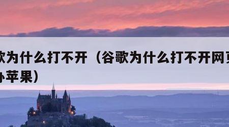 谷歌为什么打不开（谷歌为什么打不开网页怎么办苹果）