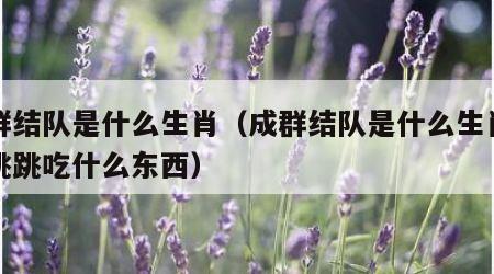 成群结队是什么生肖（成群结队是什么生肖奔奔跳跳吃什么东西）