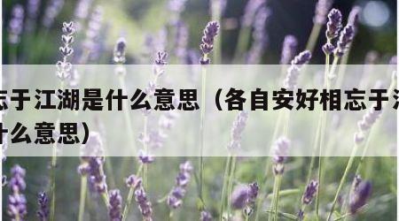 相忘于江湖是什么意思（各自安好相忘于江湖是什么意思）