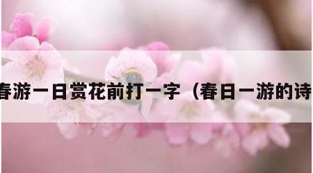 春游一日赏花前打一字（春日一游的诗）