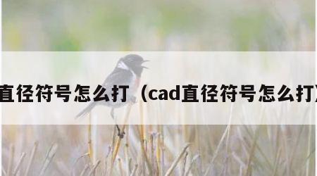 直径符号怎么打（cad直径符号怎么打）