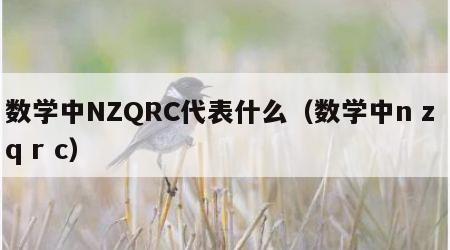 数学中NZQRC代表什么（数学中n z q r c）