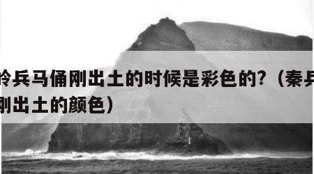 秦岭兵马俑刚出土的时候是彩色的?（秦兵马俑刚出土的颜色）