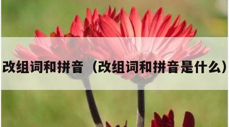 改组词和拼音（改组词和拼音是什么）