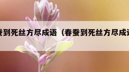 春蚕到死丝方尽成语（春蚕到死丝方尽成语答案）